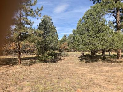 Divide Ranch Golf Course Lot For Sale Ridgway Telluride CO - image 5