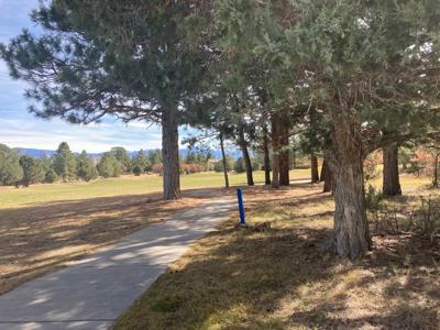 Divide Ranch Golf Course Lot For Sale Ridgway Telluride CO - image 7