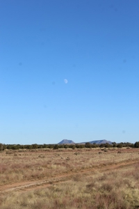 Adjoining Property for Sale in Seligman AZ No HOA, Yes Elect - image 1