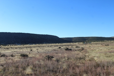 Adjoining Property for Sale in Seligman AZ No HOA, Yes Elect - image 4