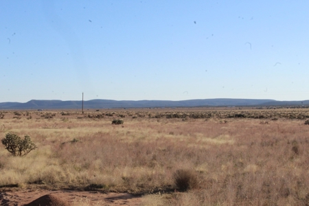 Adjoining Property for Sale in Seligman AZ No HOA, Yes Elect - image 3