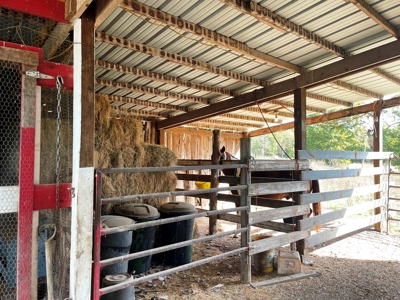 REDUCED Country home & acreage for sale Ash Flat, AR - image 18
