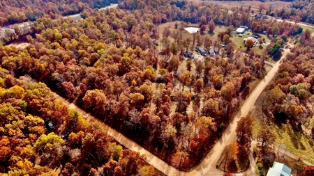 REDUCED Country home & acreage for sale Ash Flat, AR - image 27