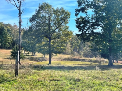 REDUCED Country home & acreage for sale Ash Flat, AR - image 13