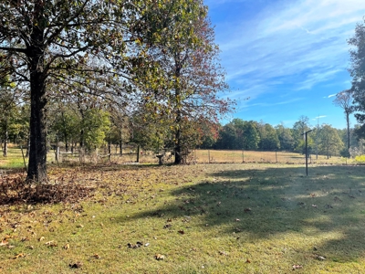 REDUCED Country home & acreage for sale Ash Flat, AR - image 15