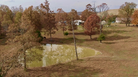 REDUCED Country home & acreage for sale Ash Flat, AR - image 38