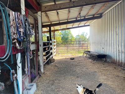 REDUCED Country home & acreage for sale Ash Flat, AR - image 17