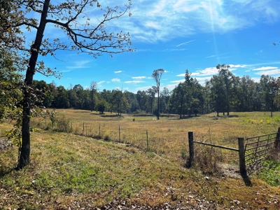 REDUCED Country home & acreage for sale Ash Flat, AR - image 23