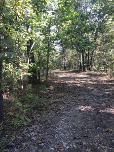 Your Home In The Ozarks - image 16