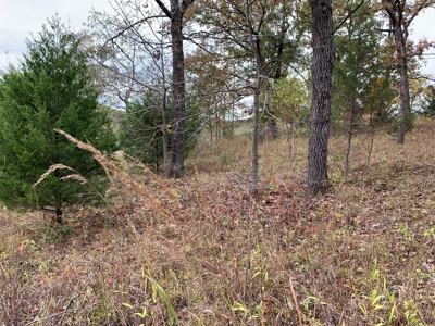 Lake View Lot Lake of the Ozarks - image 8