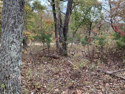 Lake View Lot Lake of the Ozarks - image 4