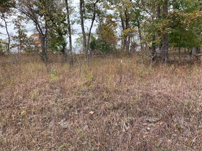 Lake View Lot Lake of the Ozarks - image 5
