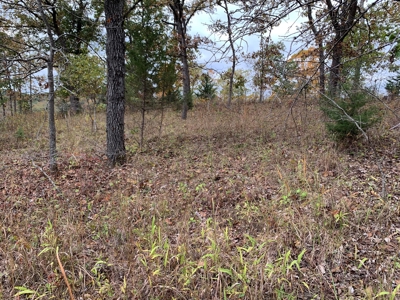 Lake View Lot Lake of the Ozarks - image 7
