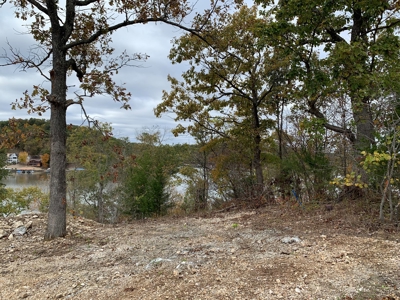 Lake View Lot Lake of the Ozarks - image 11