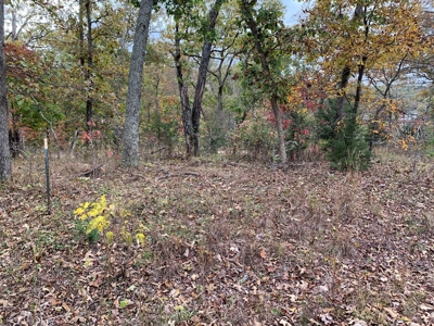 Lake View Lot Lake of the Ozarks - image 2