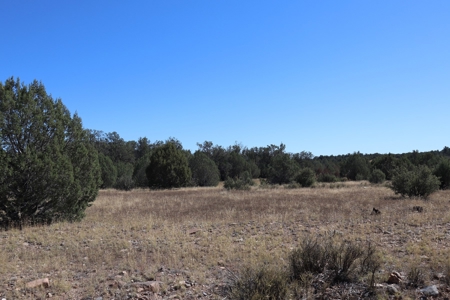 Beautiful Westwood Ranches Property - image 9
