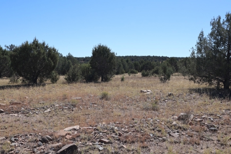 Beautiful Westwood Ranches Property - image 6