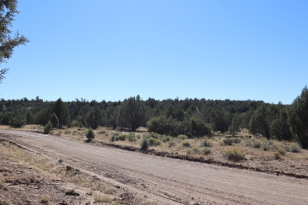 Beautiful Westwood Ranches Property - image 2