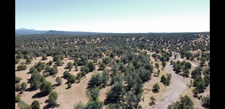 Beautiful Westwood Ranches Property - image 15