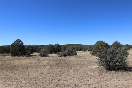 Beautiful Westwood Ranches Property - image 10