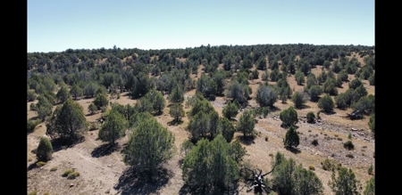 Beautiful Westwood Ranches Property - image 12