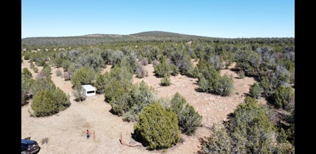 Beautiful Westwood Ranches Property - image 14