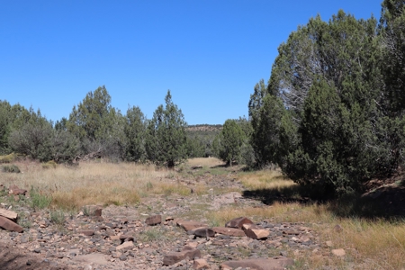 Beautiful Westwood Ranches Property - image 3