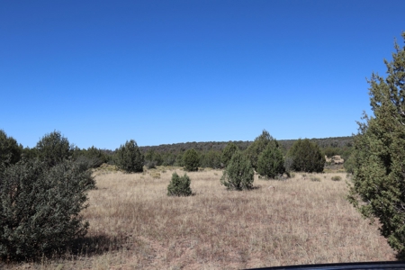Beautiful Westwood Ranches Property - image 11