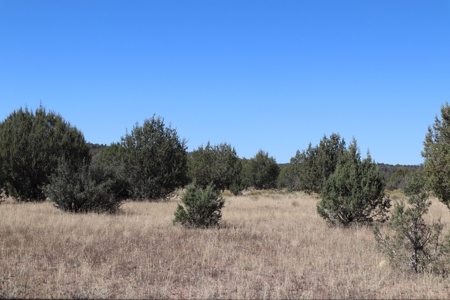 Beautiful Westwood Ranches Property - image 7