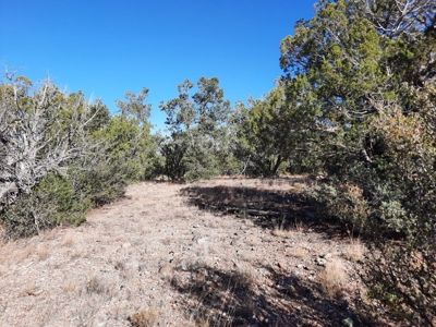 On Grid Or Off Grid Your Choice - image 14