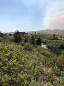 Central Montana Land on Judith River For Sale - image 4