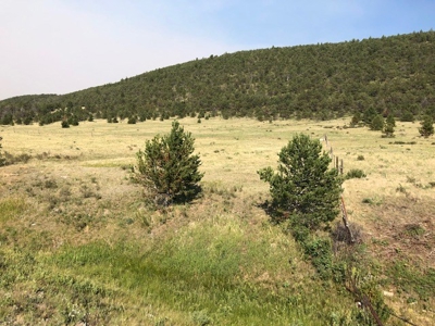 Central Montana Land on Judith River For Sale - image 7