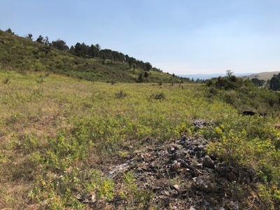 Central Montana Land on Judith River For Sale - image 5