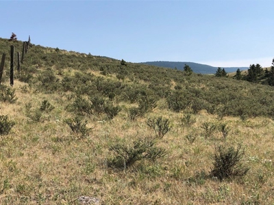 Central Montana Land on Judith River For Sale - image 6