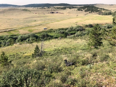 Central Montana Land on Judith River For Sale - image 8