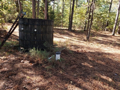 Blue Mountain 6.9 Acres Inside National Forest - image 27