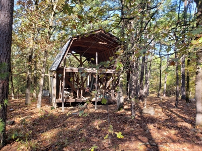 Blue Mountain 6.9 Acres Inside National Forest - image 10