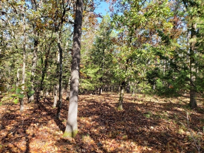 Blue Mountain 6.9 Acres Inside National Forest - image 21