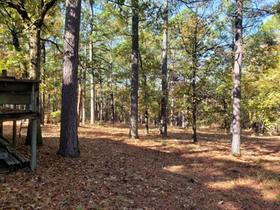 Blue Mountain 6.9 Acres Inside National Forest - image 8