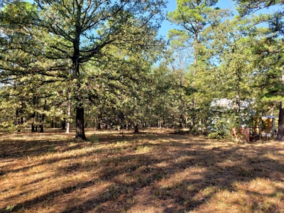 Blue Mountain 6.9 Acres Inside National Forest - image 6