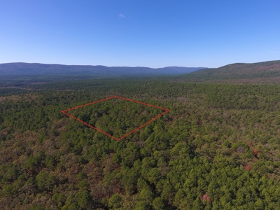 Blue Mountain 6.9 Acres Inside National Forest - image 1