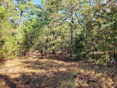 Blue Mountain 6.9 Acres Inside National Forest - image 18