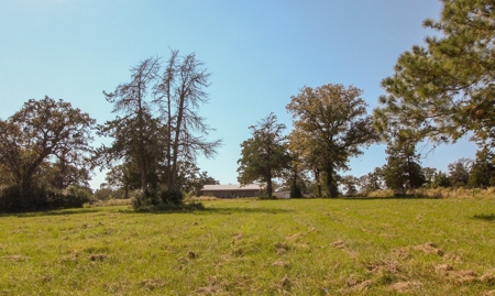 Barndominium on Acreage For Sale in Texas - image 29