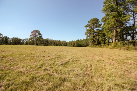Barndominium on Acreage For Sale in Texas - image 46