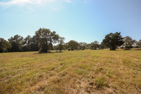 Barndominium on Acreage For Sale in Texas - image 33