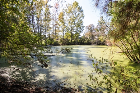 Barndominium on Acreage For Sale in Texas - image 31