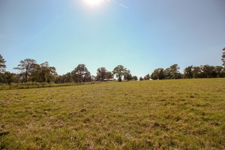 Barndominium on Acreage For Sale in Texas - image 47