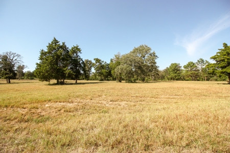 Barndominium on Acreage For Sale in Texas - image 43