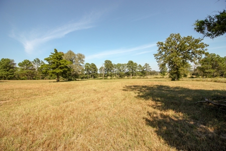 Barndominium on Acreage For Sale in Texas - image 44