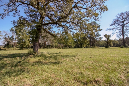 Barndominium on Acreage For Sale in Texas - image 28